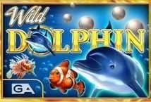 Wild Dolphin slot